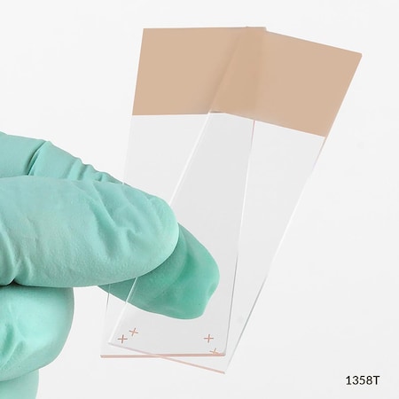 Globe Scientific Microscope Slides, Diamond White Glass, 25x75mm, Charged, 90 Deg. Ground Edges, Tan Frosted, 72PK 1358T-72